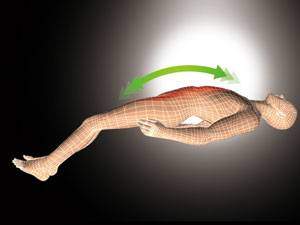 embrace_deluxe_1_d.jpg embrace_deluxe_1_d.jpg