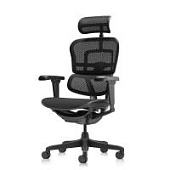 Ортопедическое кресло Falto Ergohuman 2 Ultra Черное